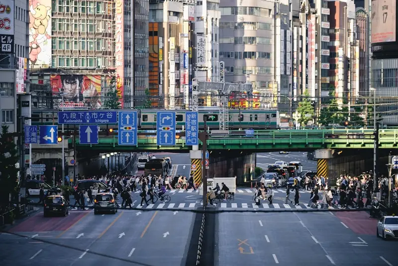 Natasha.Tokyo Premium Domain